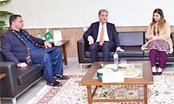 Pakistan focusing on economic diplomacy for economic stabilization: FM